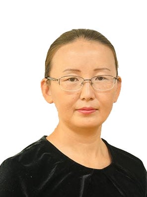 Ц.Сугир — Senior Lecturer